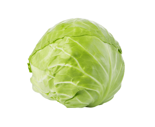 Chou vert