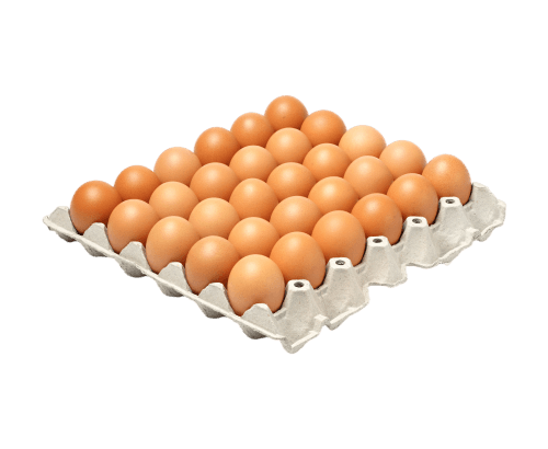 Casier de 30 Oeufs