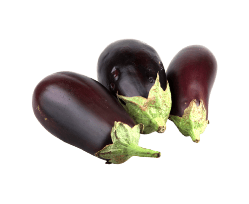 Aubergine