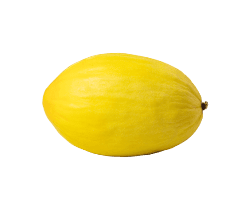 Melon Jaune (Canari)