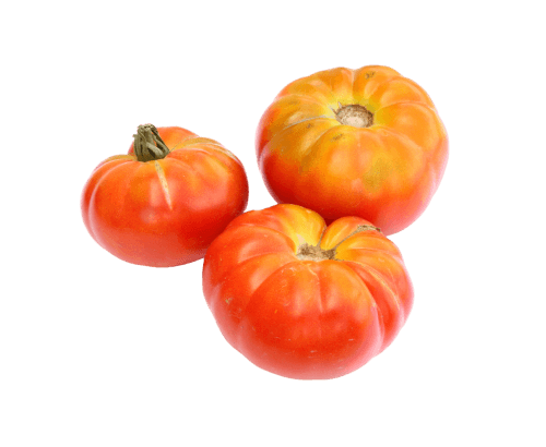 Tomate Marmande