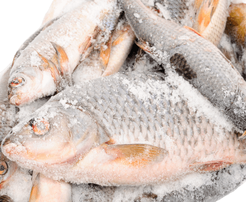 Poisson, Carpe